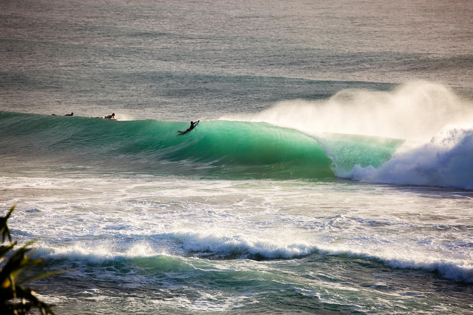 A group of surfers in the water
