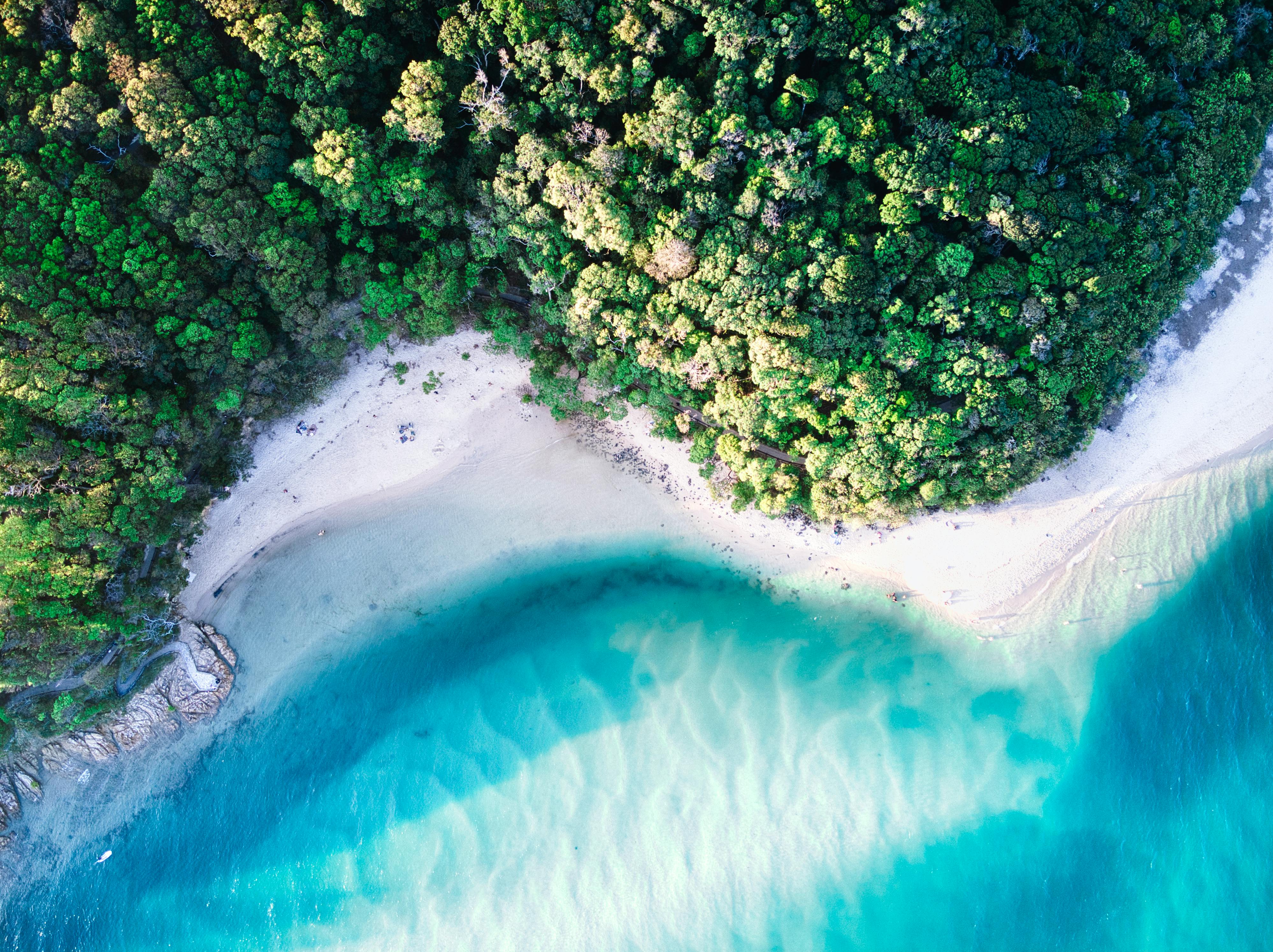 The stunning turquoise water of Tallebudgera Creek