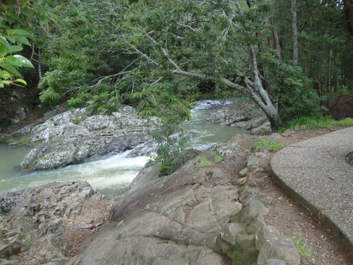 Currumbin Rock Pools with water flowing between rocks beside trees and a paved path